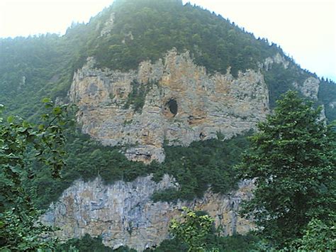 D­o­ğ­a­l­ ­T­ü­r­k­i­y­e­ ­H­a­r­i­t­a­s­ı­:­ ­Ş­a­h­i­n­ ­K­a­y­a­s­ı­